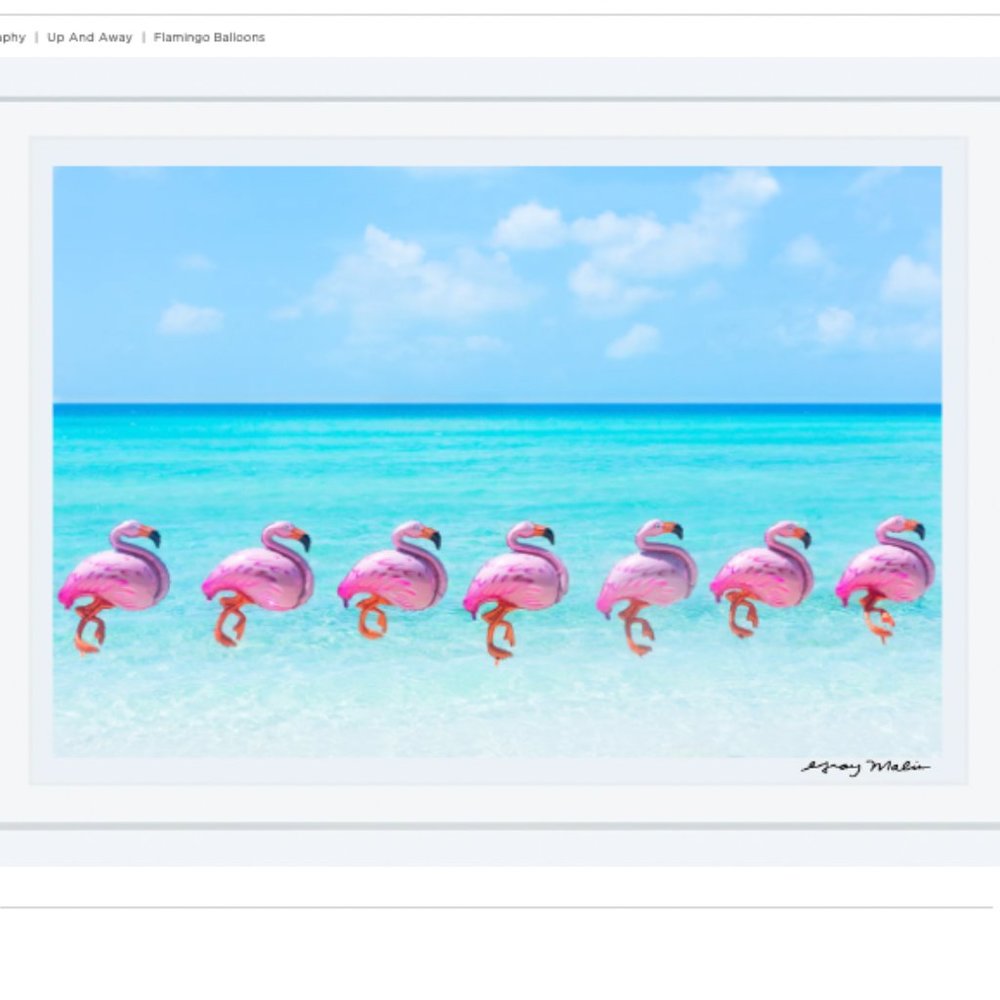Authentic Gray Malin Flamingo Balloons White Framed Print 15.5 x 21"